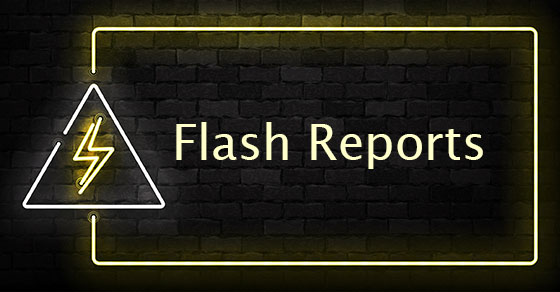 Flash Reports: Real-time Financial Reporting