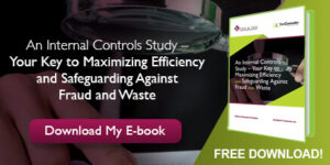 Internal Controls Study eBook